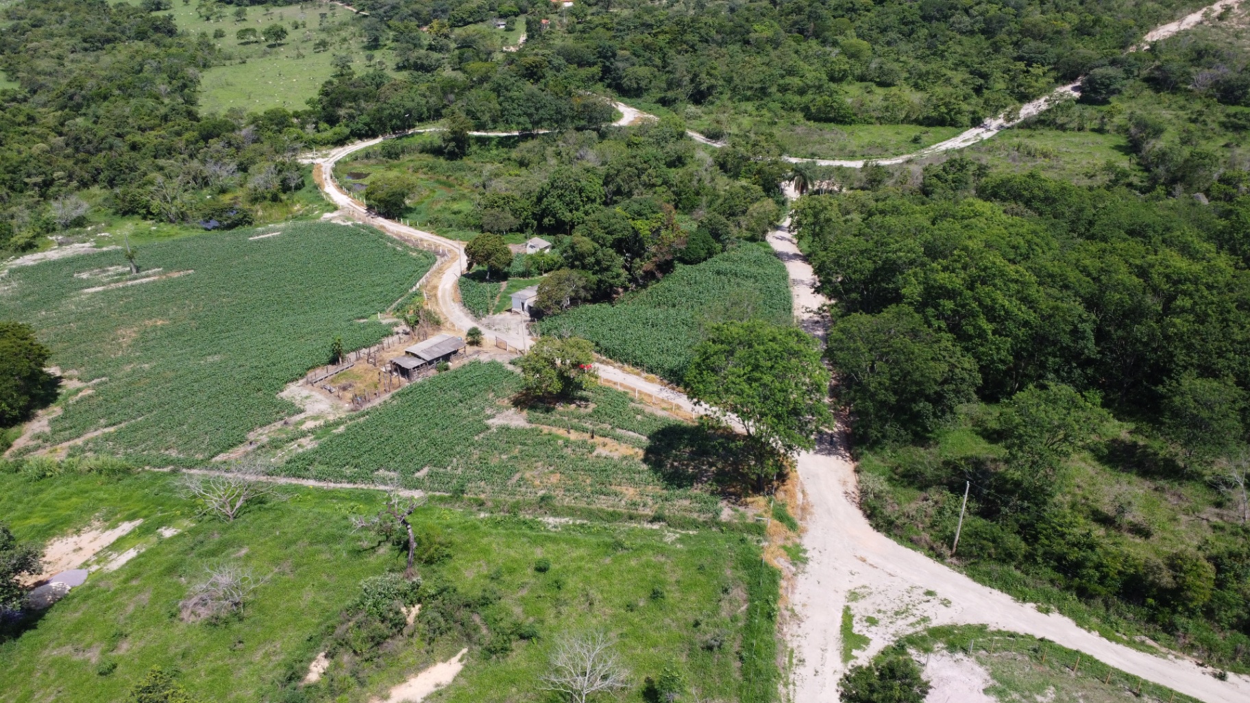Panorâmica das fazendinhas
