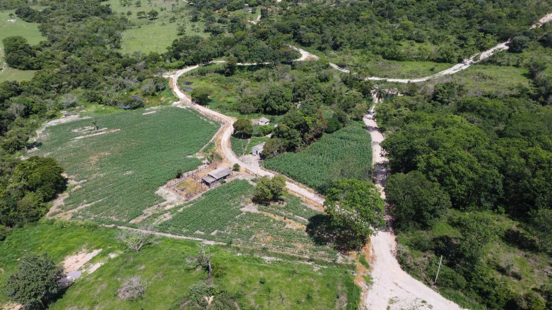 Áreas verdes e estradas internas